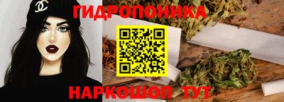 Альфа ПВП Дубна