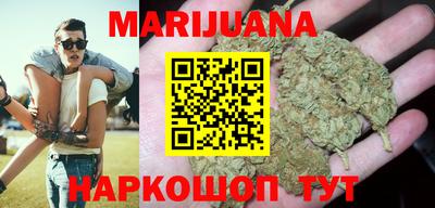 Альфа ПВП Дубна