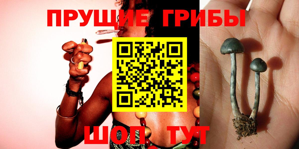 Мирный  Псилоцибиновые грибы ЛСД  Вход с VPN 