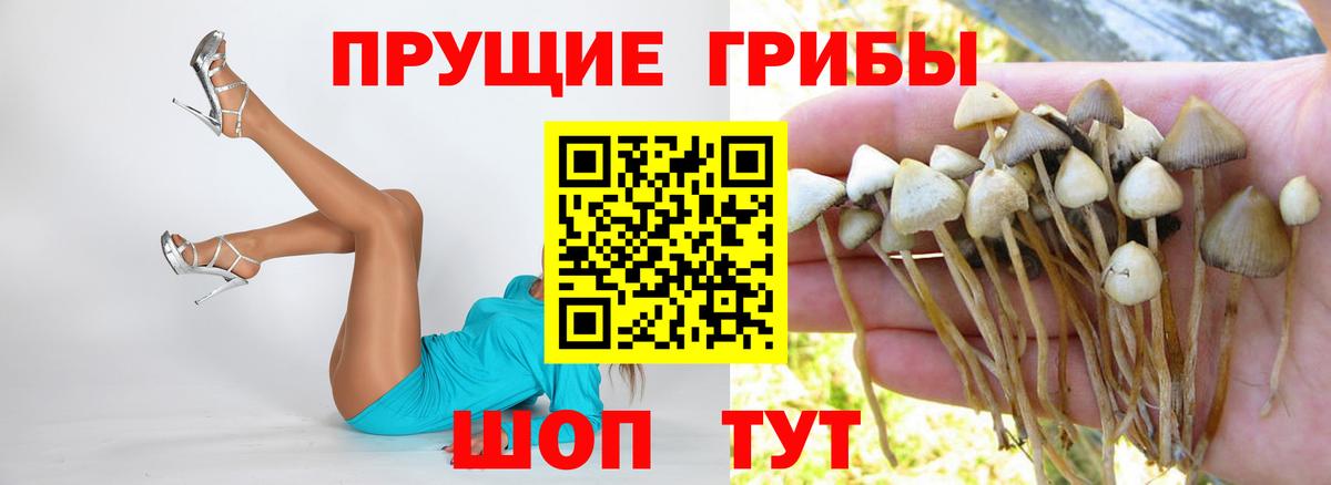 Псилоцибиновые грибы ЛСД Мирный